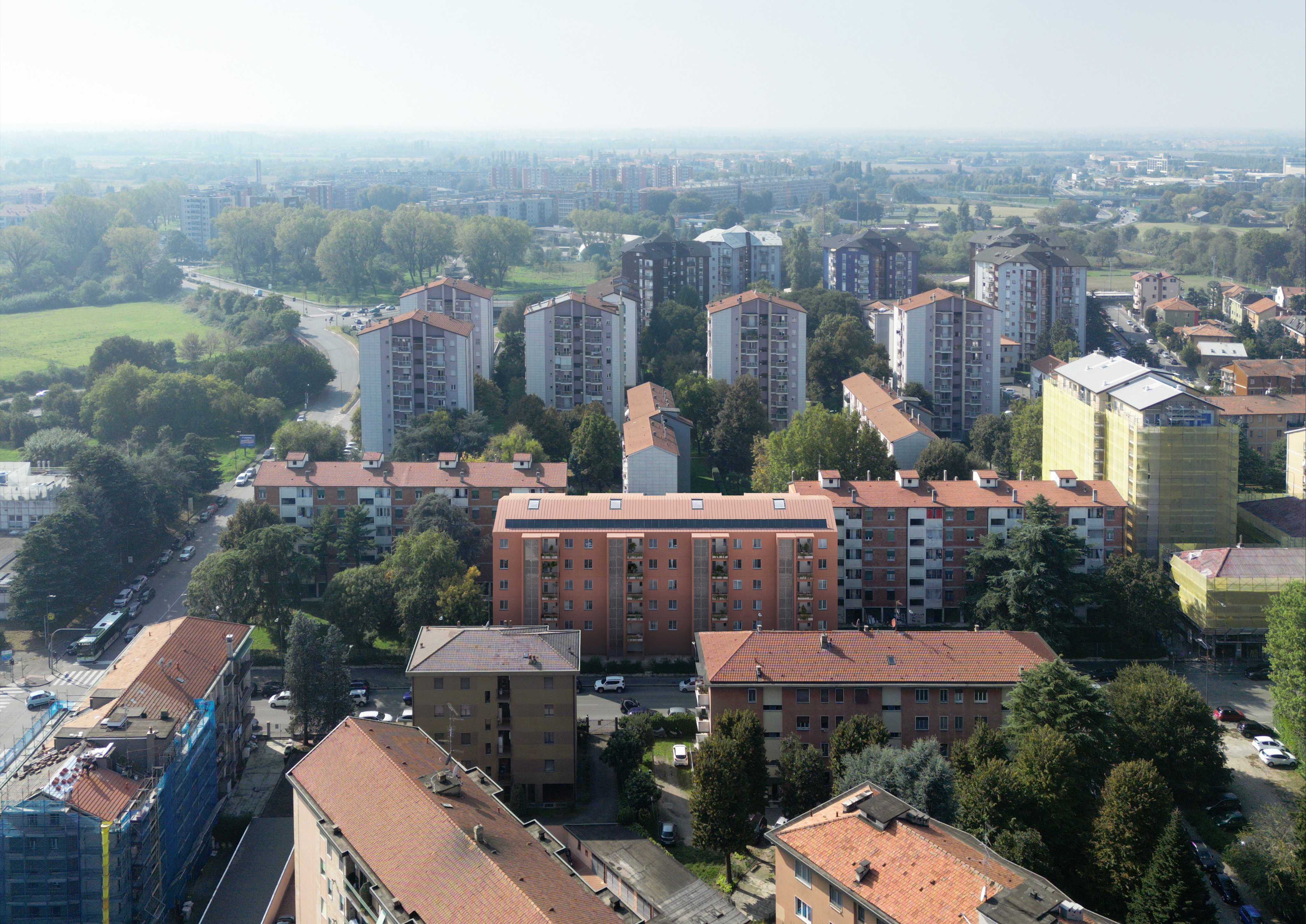 image (1)