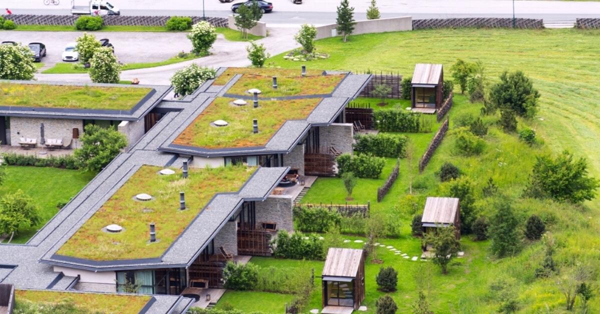 Ridurre i consumi energetici grazie ai tetti verdi