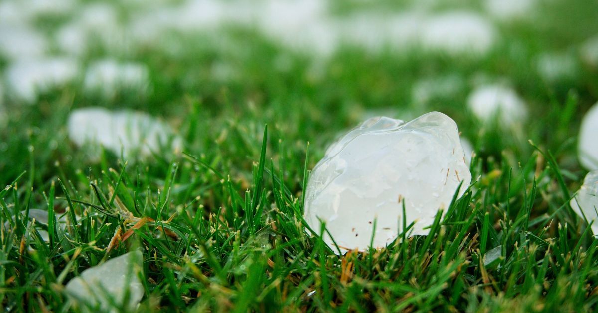 Coperture in pannelli sandwich: soluzioni per riparare tetti colpiti da grandine e eventi climatici